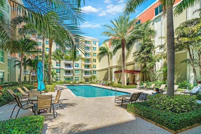 view of pool featuring a patio and a pergola