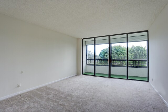 unfurnished room featuring a wealth of natural light and light carpet