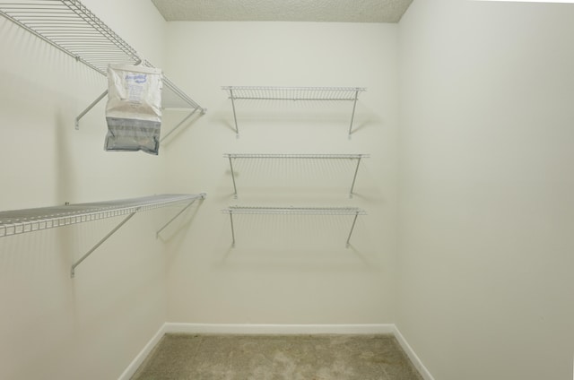 spacious closet featuring light carpet