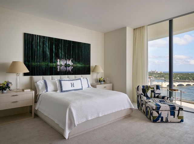 carpeted bedroom featuring a water view