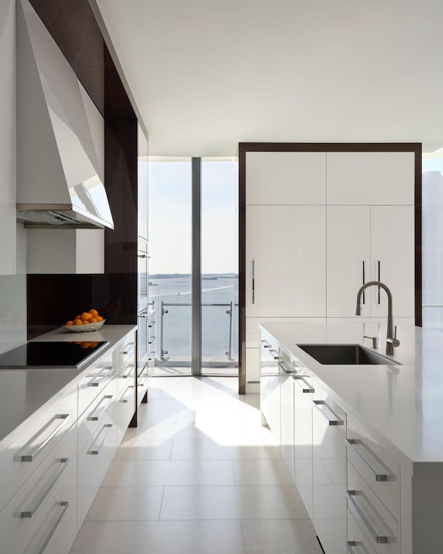 kitchen with white cabinetry, plenty of natural light, wall chimney exhaust hood, and sink