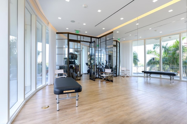 workout area featuring expansive windows and a wealth of natural light