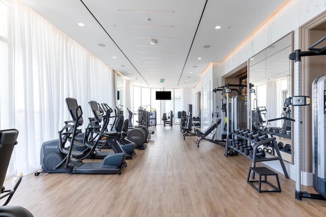 workout area featuring a wall of windows, a wealth of natural light, and light wood-type flooring