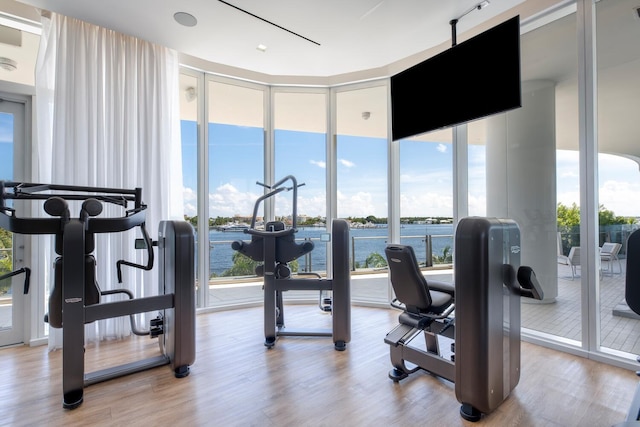 gym featuring plenty of natural light, expansive windows, and light hardwood / wood-style flooring