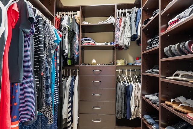 view of spacious closet