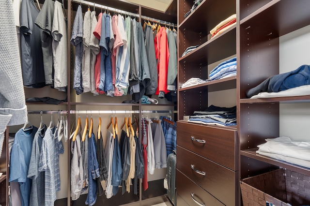 view of spacious closet