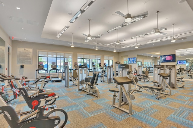 workout area featuring ceiling fan and carpet