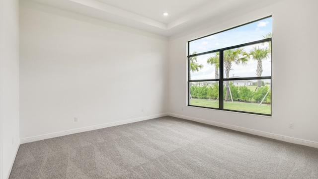 spare room featuring carpet flooring and a healthy amount of sunlight