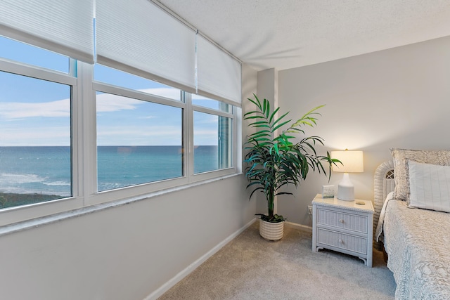 bedroom with light colored carpet, a textured ceiling, and a water view