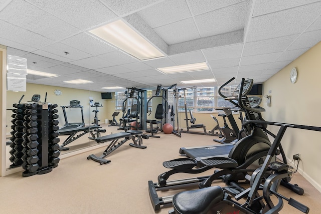 gym featuring a paneled ceiling and carpet flooring