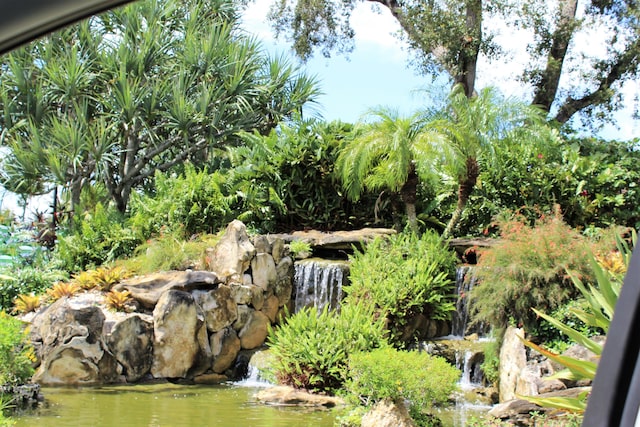 4360 Eucalyptus Tree Ct Unit A, Boynton Beach, FL 33436 - view of nature