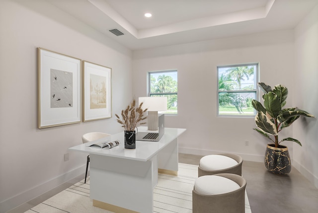 home office featuring a raised ceiling