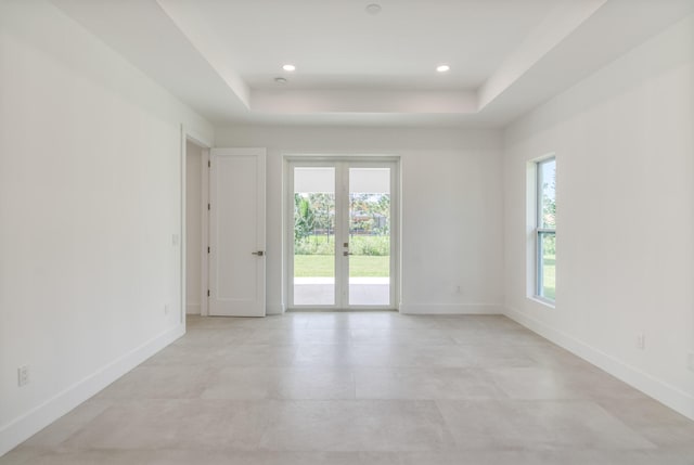 spare room featuring a raised ceiling and a wealth of natural light