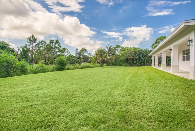 view of yard