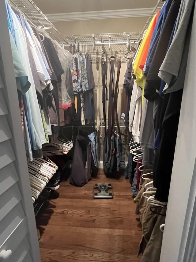 walk in closet featuring hardwood / wood-style floors