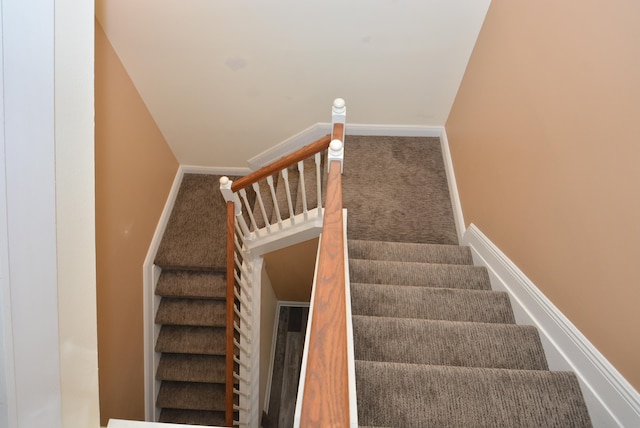 staircase with carpet flooring