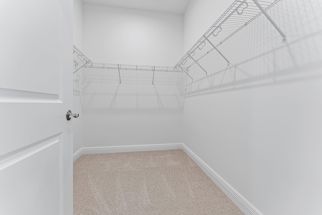 spacious closet with carpet flooring