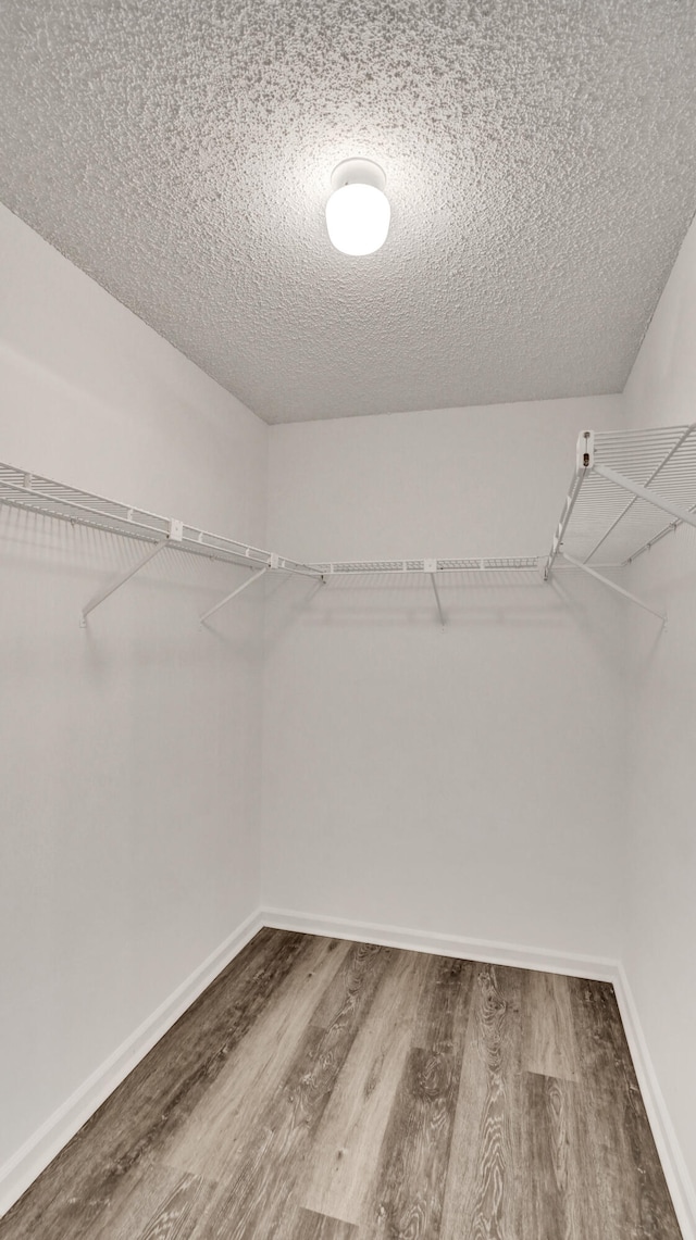 spacious closet featuring hardwood / wood-style floors