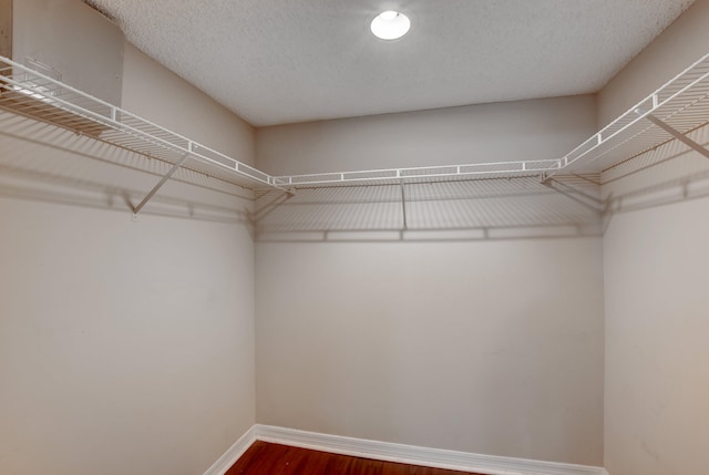 spacious closet featuring wood-type flooring