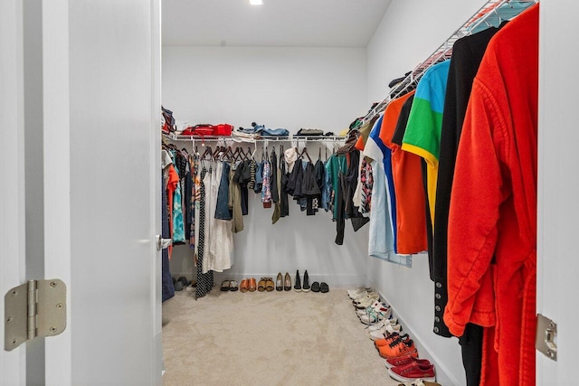 walk in closet featuring carpet floors