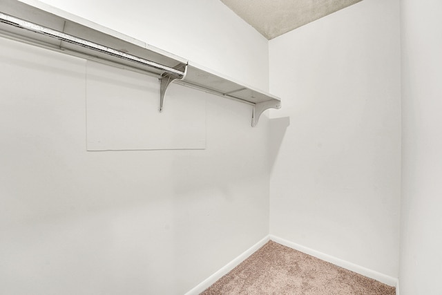 spacious closet with carpet floors