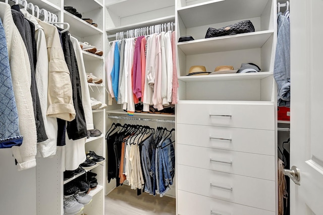 spacious closet featuring hardwood / wood-style floors