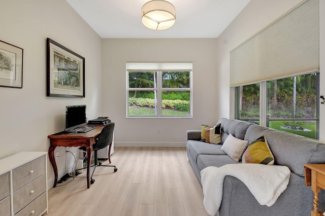 office featuring light wood-type flooring