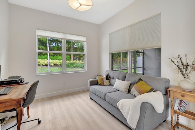 home office featuring a healthy amount of sunlight and light hardwood / wood-style flooring