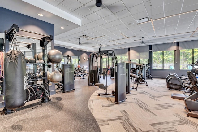 workout area with a paneled ceiling, carpet, and ceiling fan