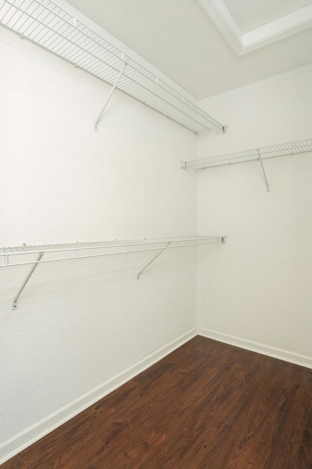 walk in closet with dark wood-type flooring