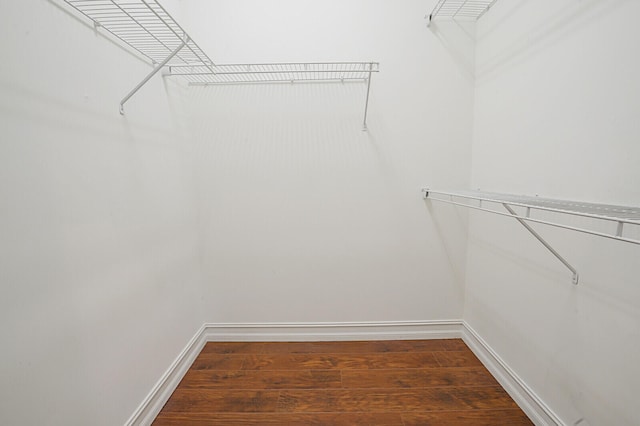 spacious closet featuring dark wood-type flooring