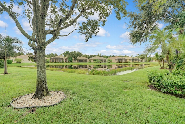 view of community featuring a water view and a yard