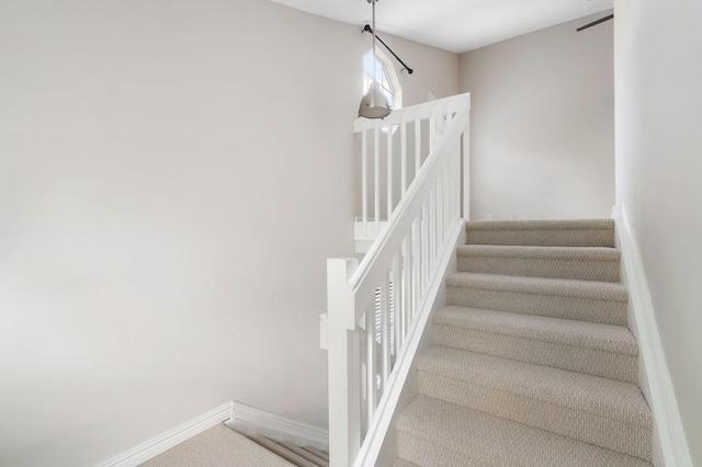 staircase featuring carpet floors