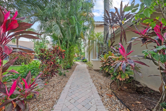 4561 Carlton Golf Dr, Lake Worth, FL 33449 - view of yard