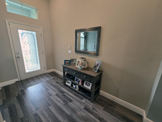 entrance foyer featuring a towering ceiling and dark hardwood / wood-style floors