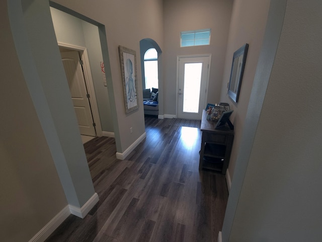 foyer entrance with a towering ceiling and dark hardwood / wood-style floors