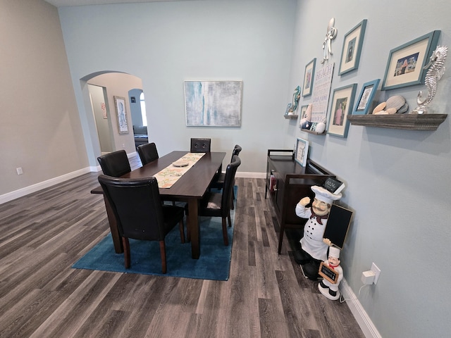 dining room featuring dark wood-type flooring