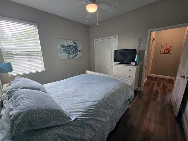 bedroom featuring ceiling fan, a closet, and dark hardwood / wood-style floors