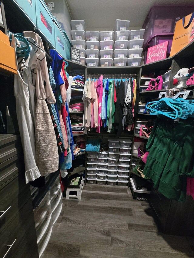 1892 SW Altman Ave, Port Saint Lucie, FL 34953 - walk in closet featuring wood finished floors