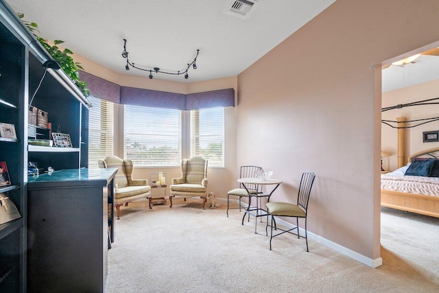 office with light carpet and rail lighting