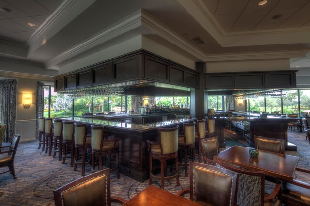 bar featuring ornamental molding, dark colored carpet, and a tray ceiling