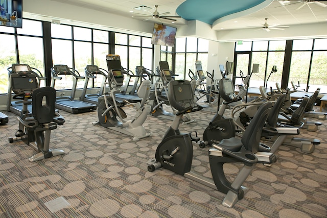 gym featuring carpet and ceiling fan