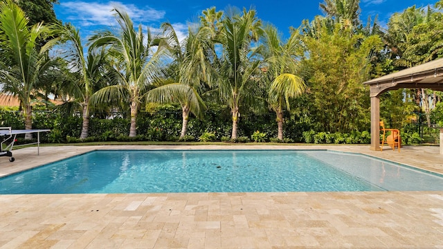 view of swimming pool featuring a patio area