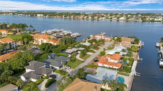 aerial view with a water view