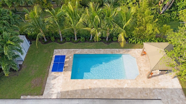 view of swimming pool with a yard