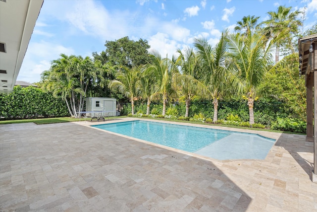 view of swimming pool with a patio area and a storage unit