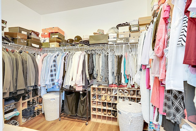 spacious closet with hardwood / wood-style flooring