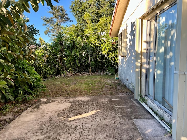 view of yard with a patio