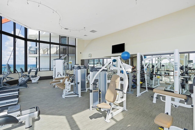 gym featuring carpet flooring and a water view