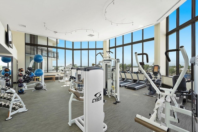 exercise room featuring dark carpet, a towering ceiling, and floor to ceiling windows